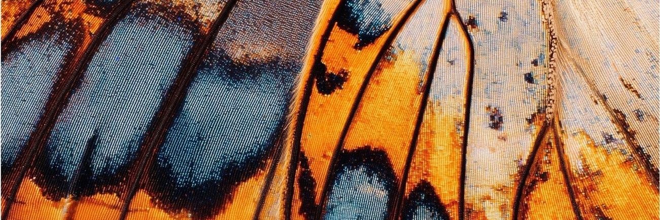 nanika97 banner