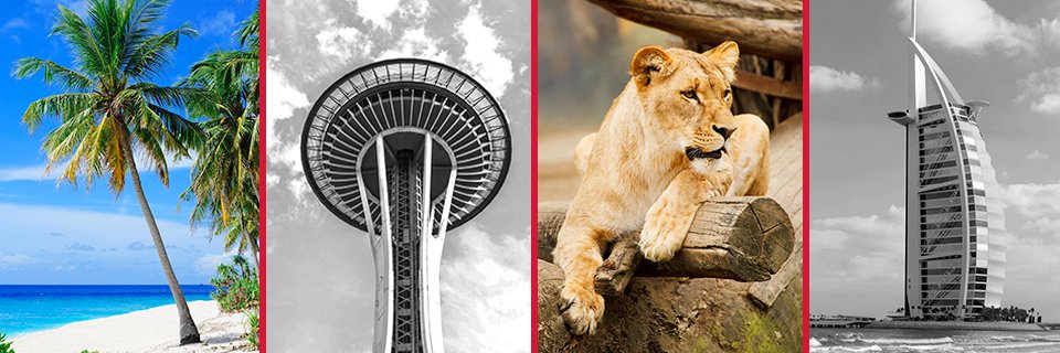 TreeHillTravel's profile banner image