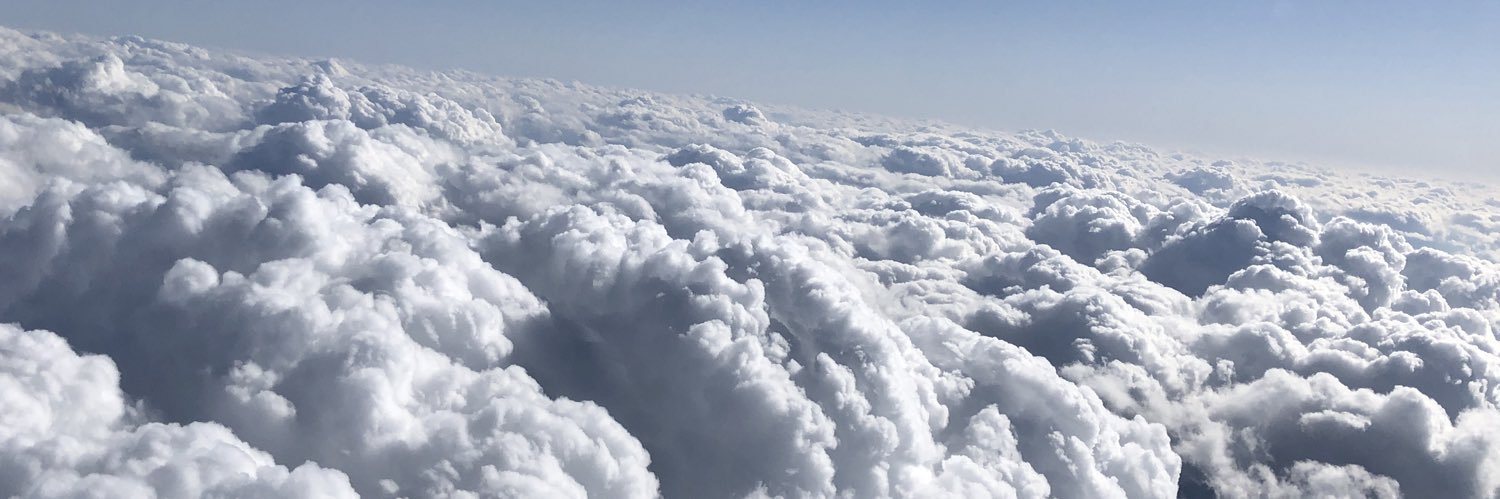 Marianne Hanjaras banner