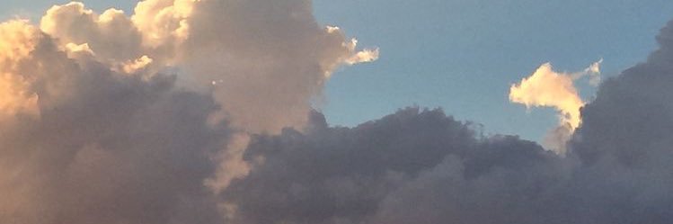 jay banner