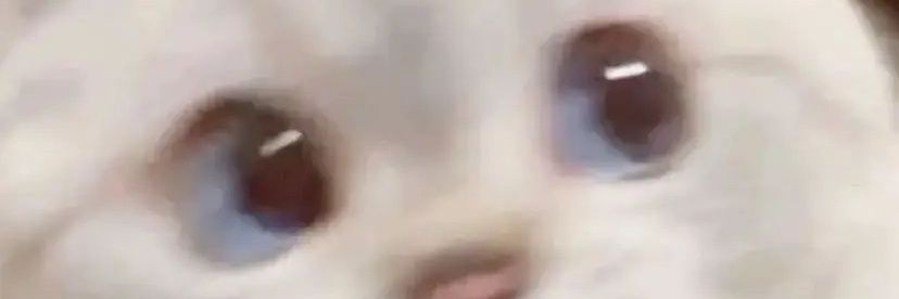 kimjunmiau's profile banner image