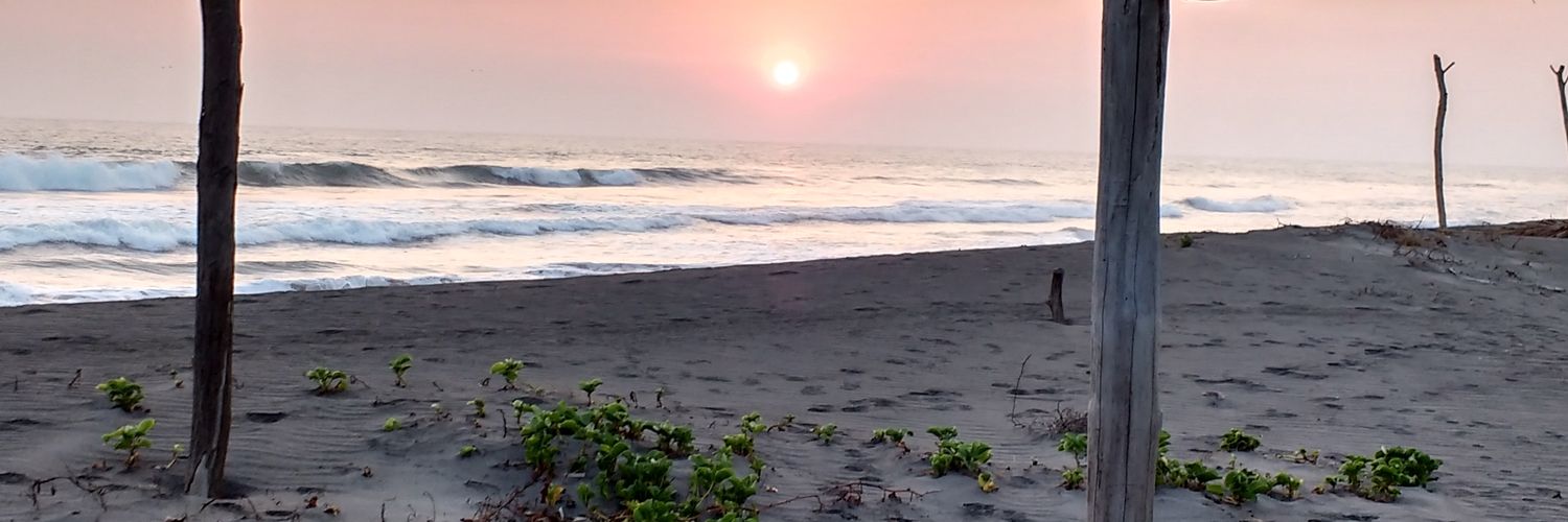 zocenvi's profile banner image