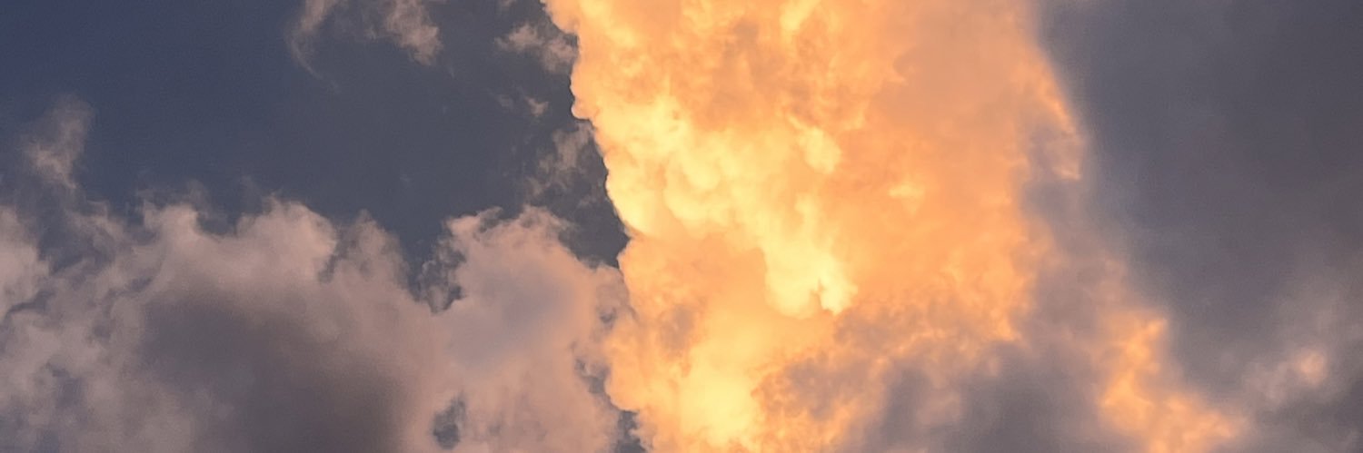 silvajuly_'s profile banner image