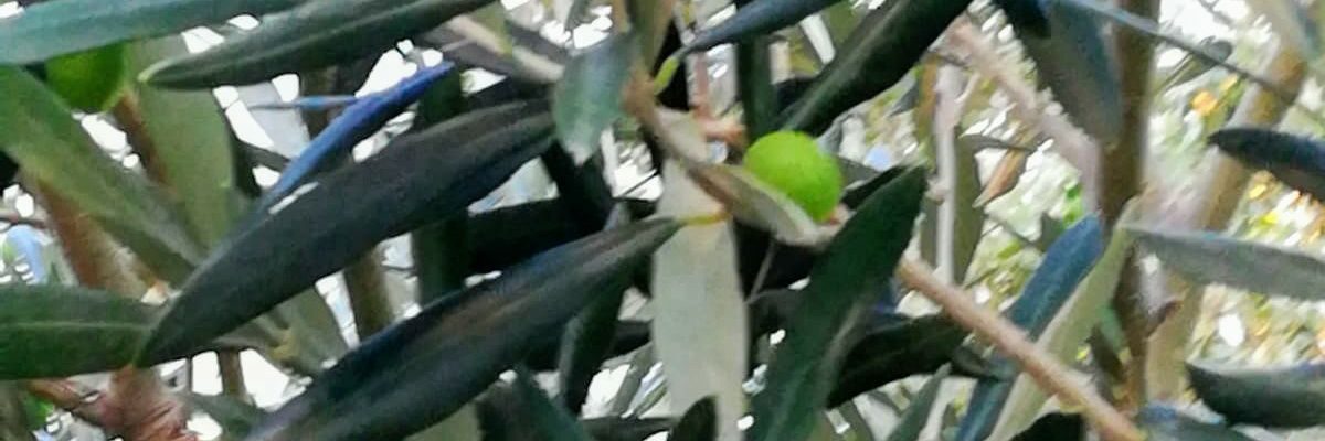 Bafidis2's profile banner image