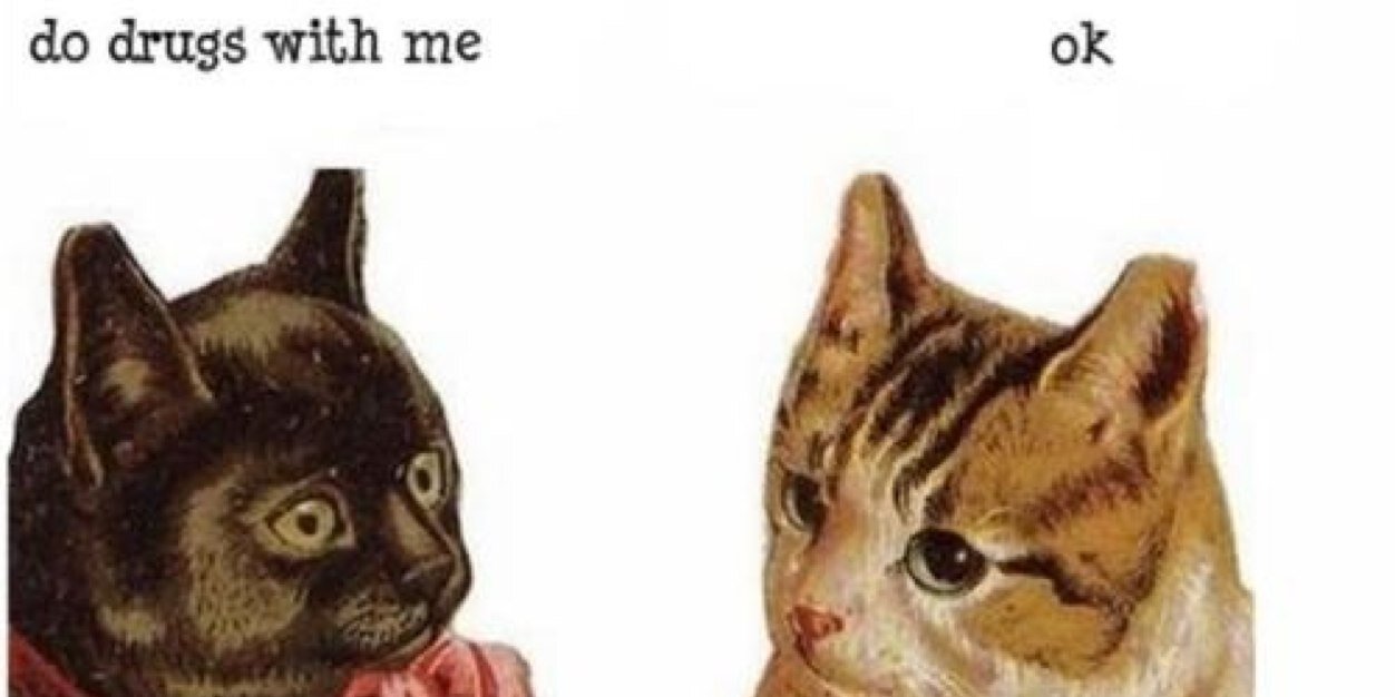 jay_pear16's profile banner image