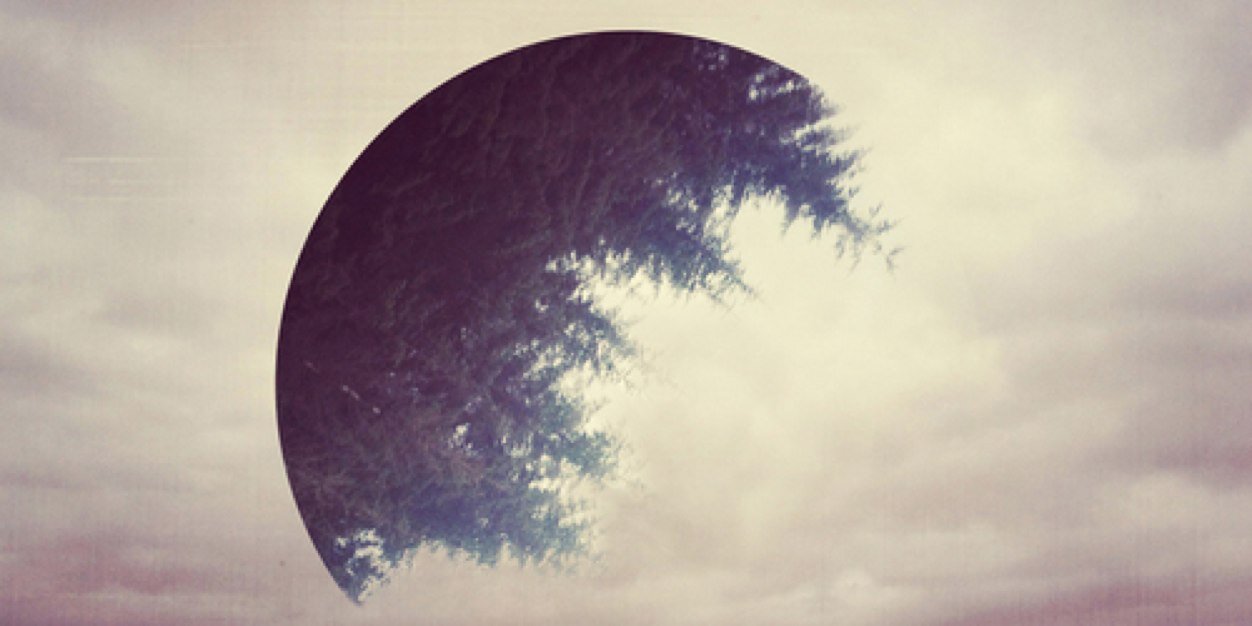 lyndsie_leish's profile banner image
