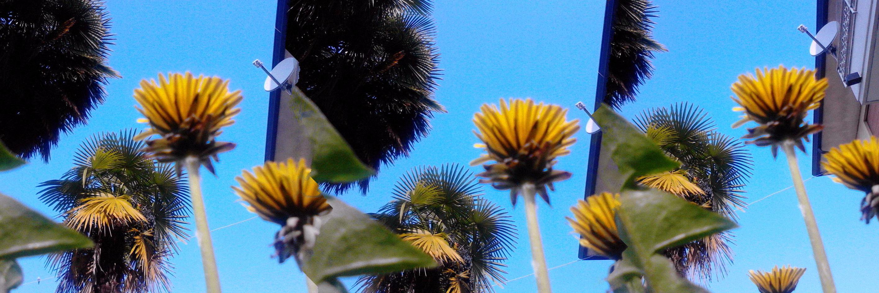 CaRamelintsoa's profile banner image