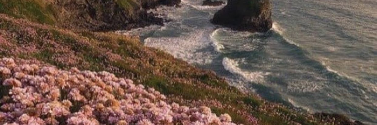 aleeh1410's profile banner image