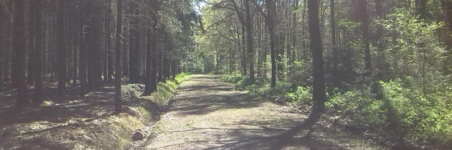 langewieger's profile banner image