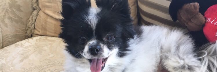 caitraebaron's profile banner image