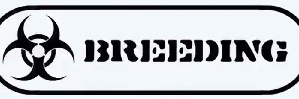 mdogs27 banner