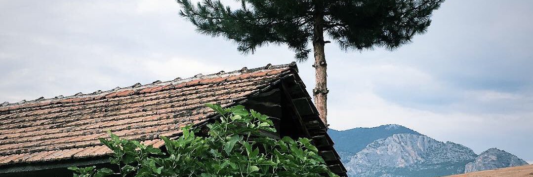 vilaksoy's profile banner image