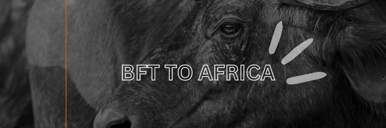 Bee🐝Bramwell banner