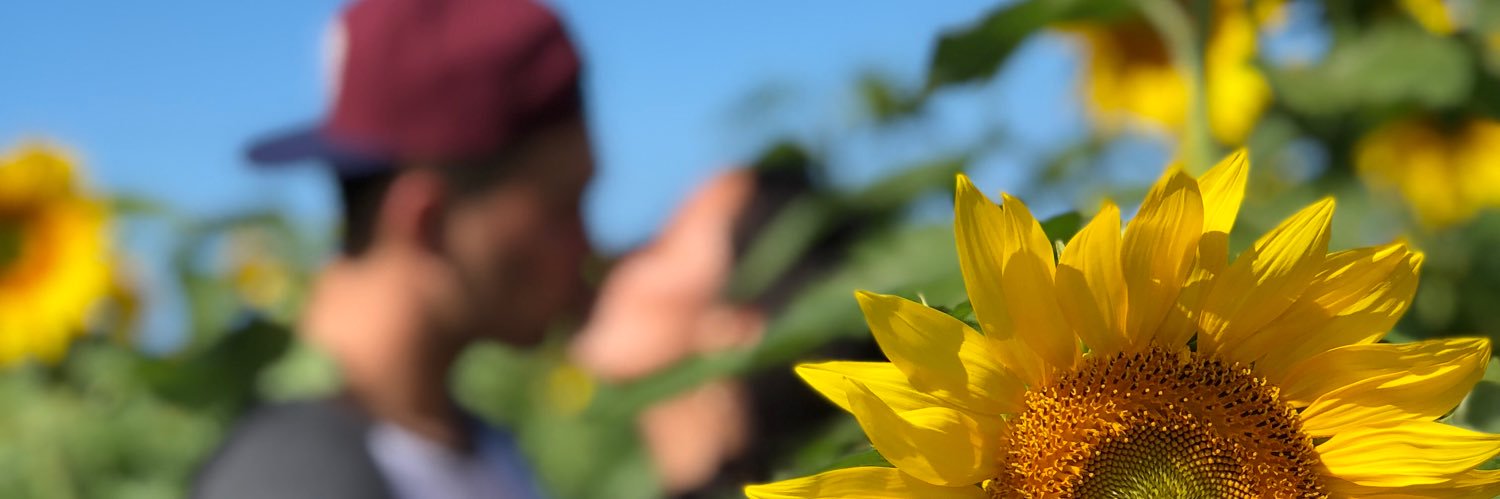 WandlerChade's profile banner image