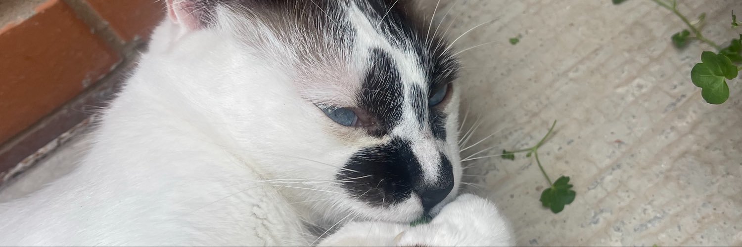 sadalmely's profile banner image