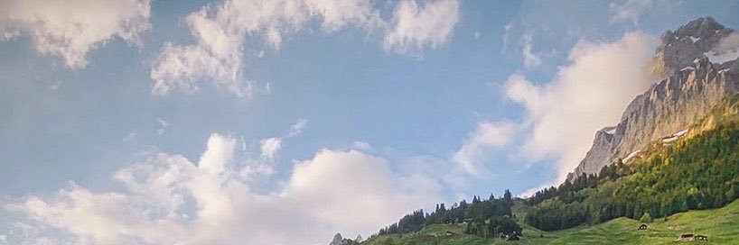 ricky11012's profile banner image