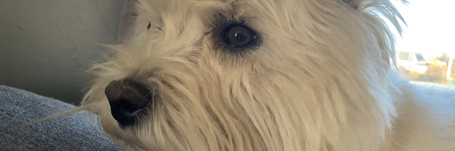 dunnighan2's profile banner image