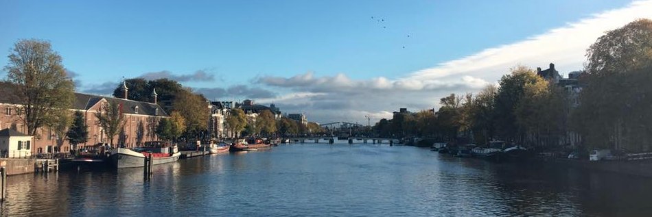 FloComtesse's profile banner image