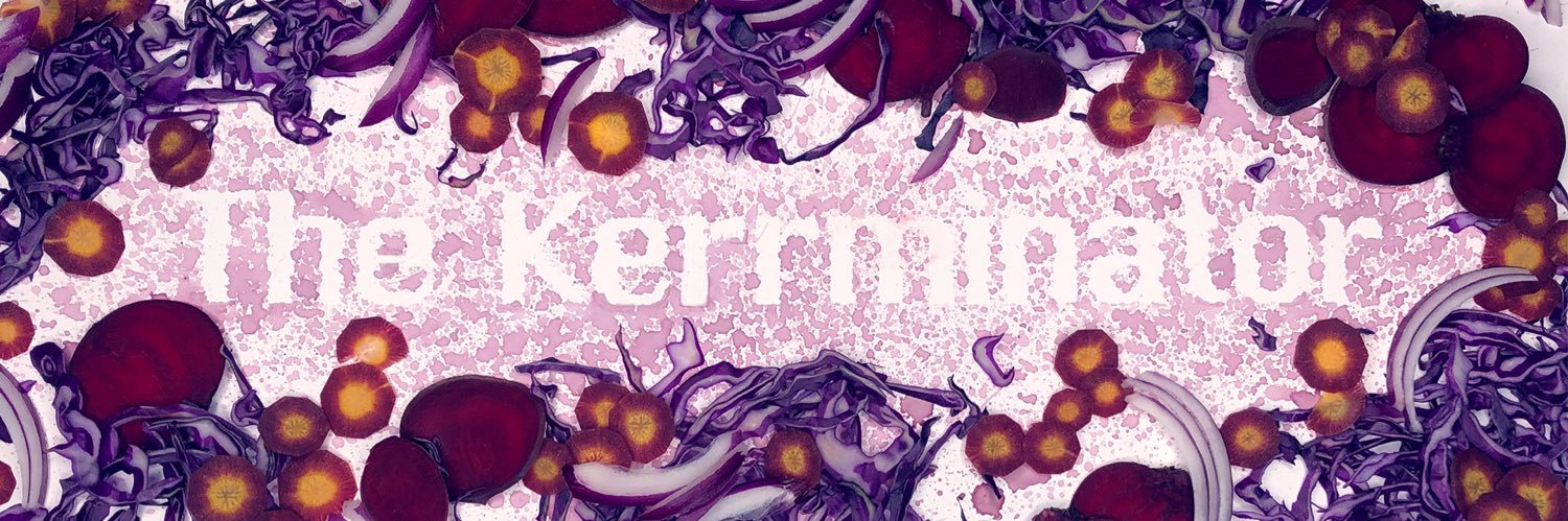 The_Kerrminator's profile banner image