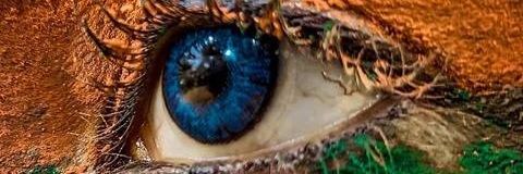 delle_onyi's profile banner image