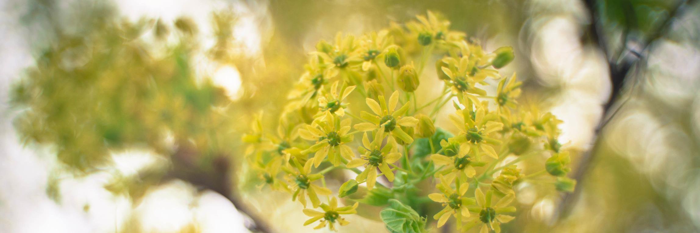 Richfield MN Chamber banner