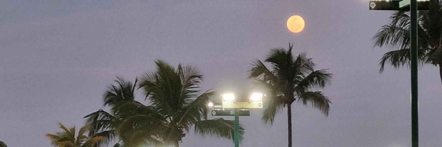 a tennis follower banner