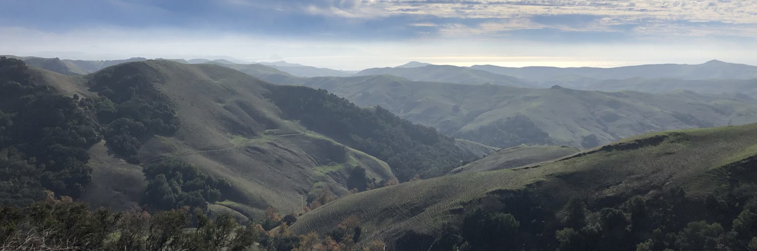 BeepsWiggles's profile banner image