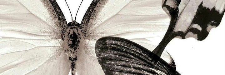 vulnxrble's profile banner image