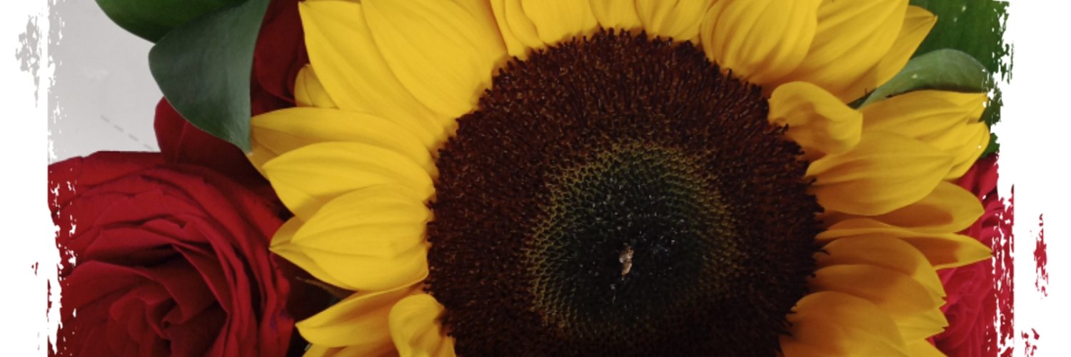 nanogarffiel's profile banner image