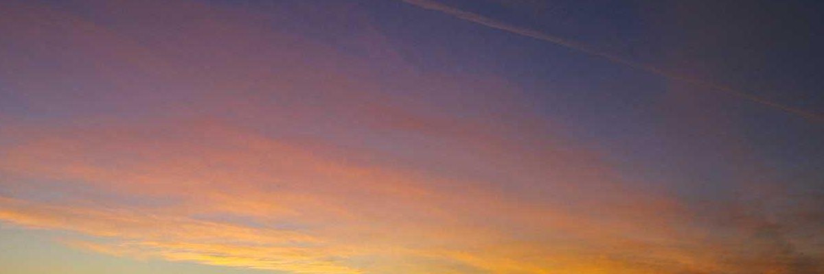 Vilma Hansson banner