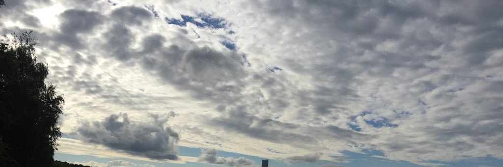 TheRealMorozov's profile banner image