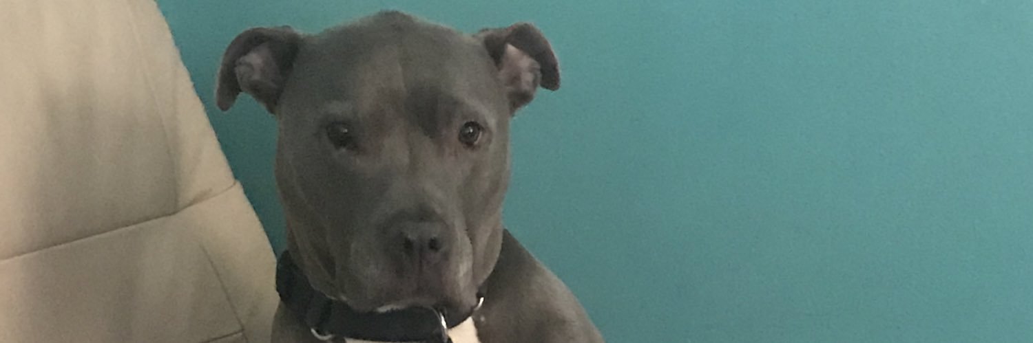Jess banner