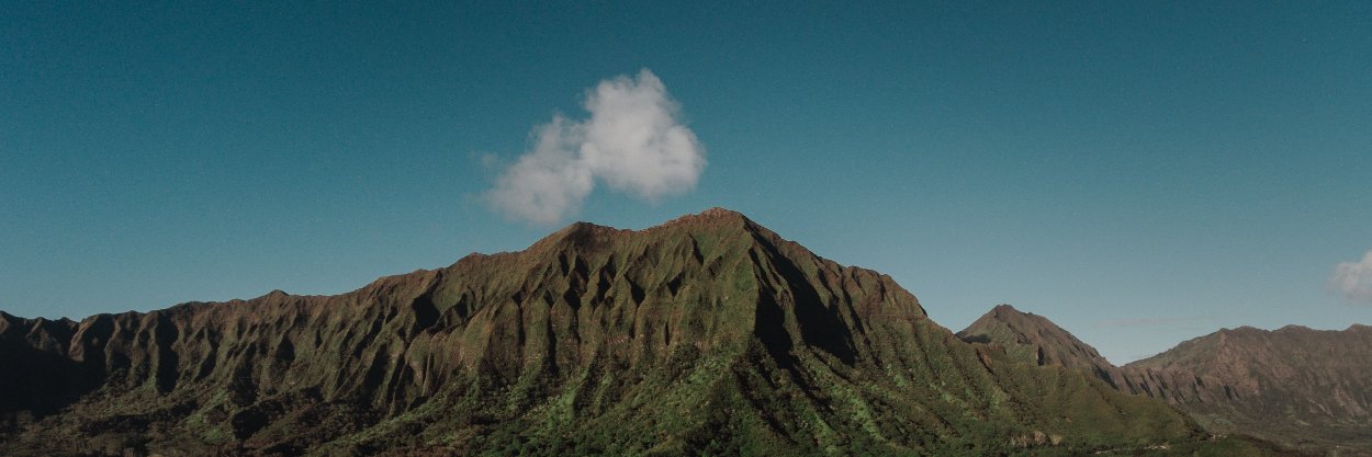 Tri Sanguanbun banner