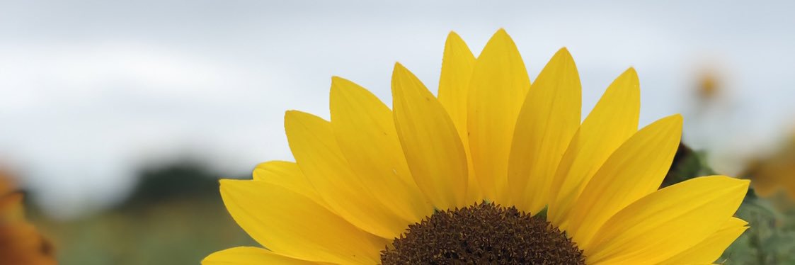 victoriaaaa_7's profile banner image