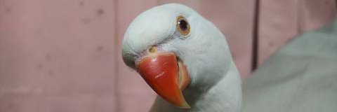 Ｊ・アシスト banner