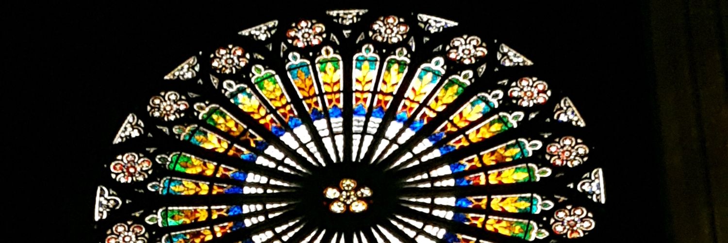 Saripari89's profile banner image