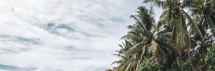 Tara Moxon banner