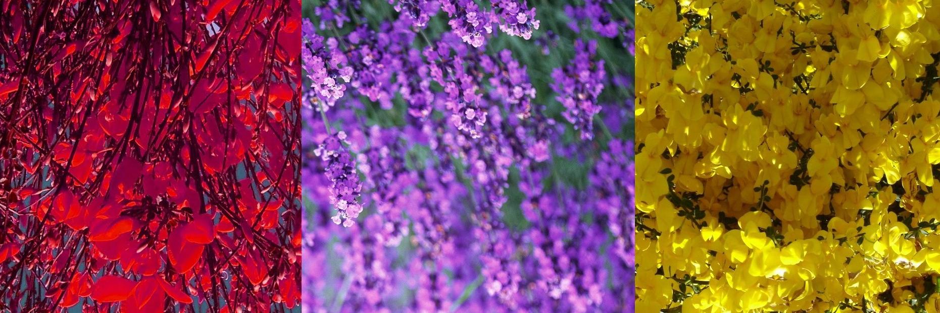 LeonardoBrasant's profile banner image