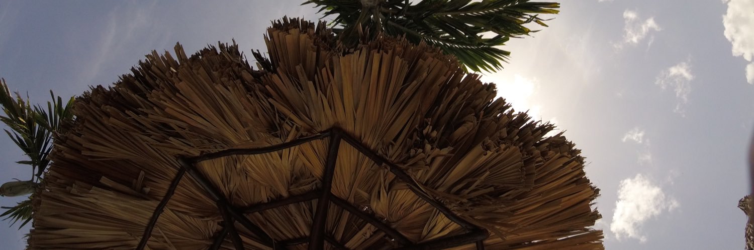 JollyRobertson's profile banner image