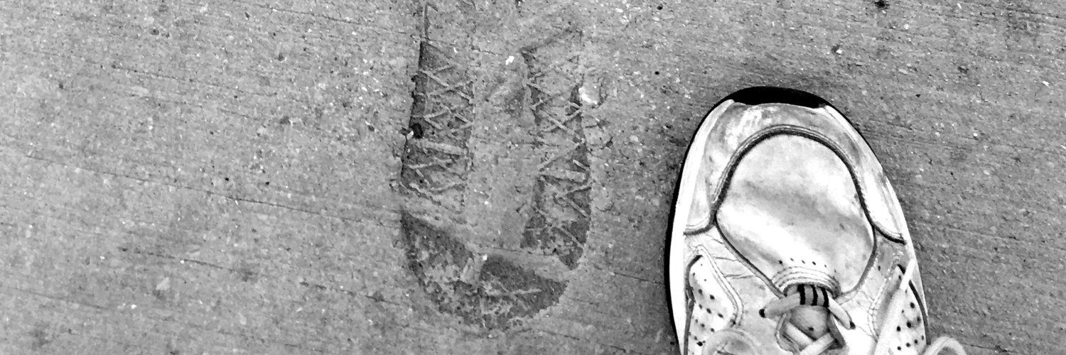 Michael J. Stern banner