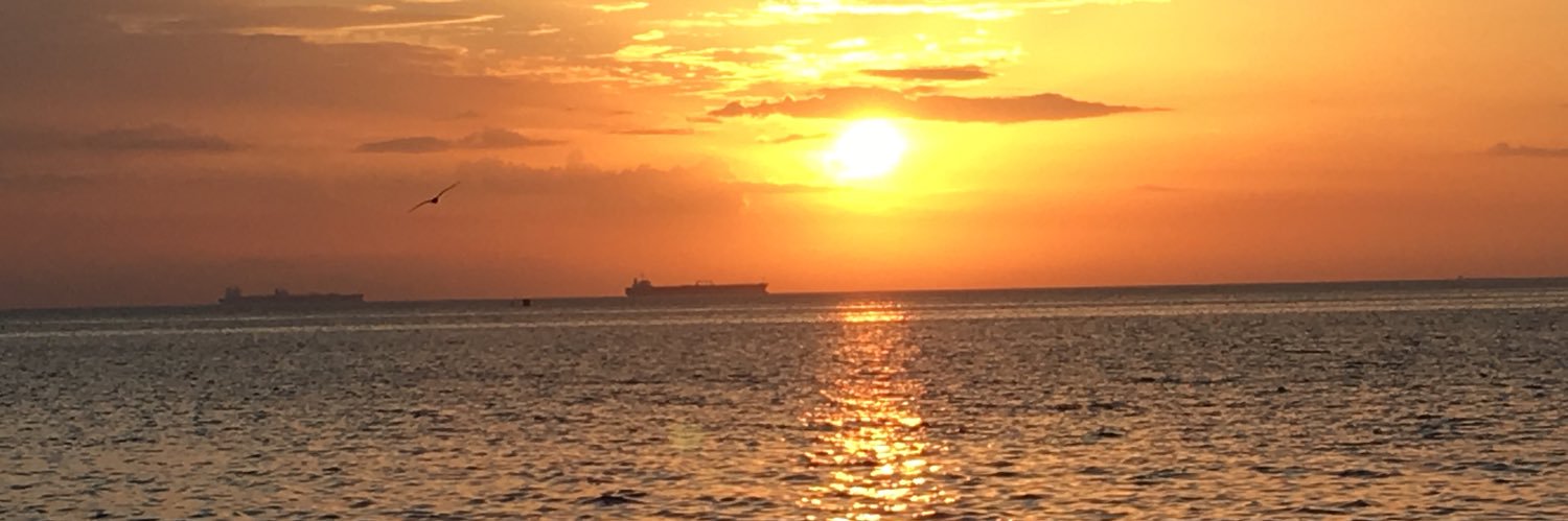 Maituchis's profile banner image