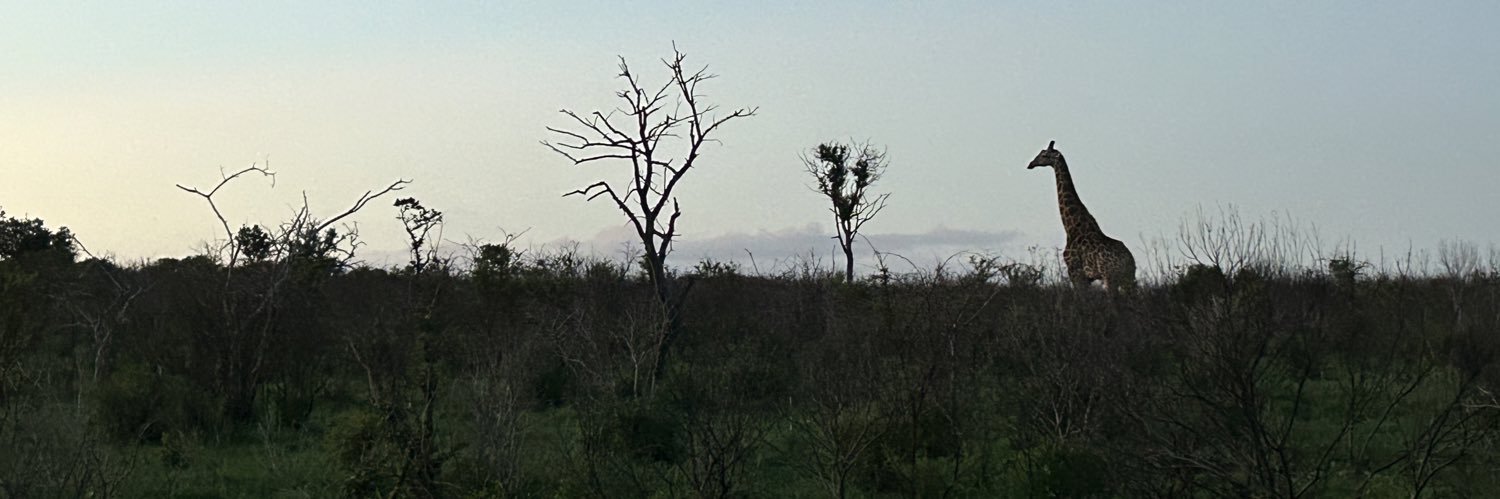 Per Ekstr🦆 banner