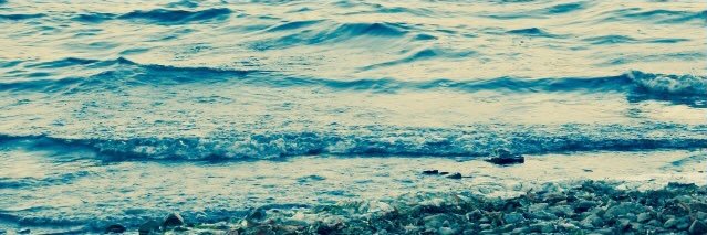 megan 💕 banner