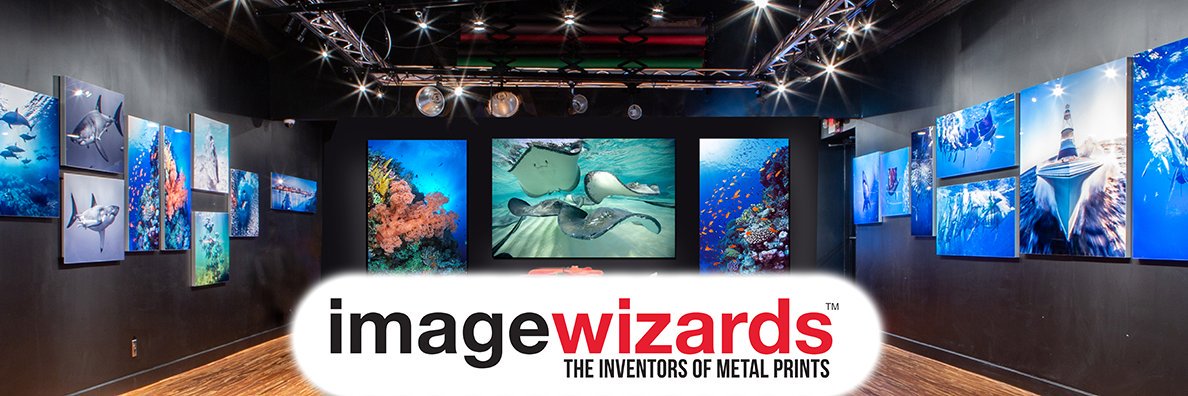 ImageWizards's profile banner image