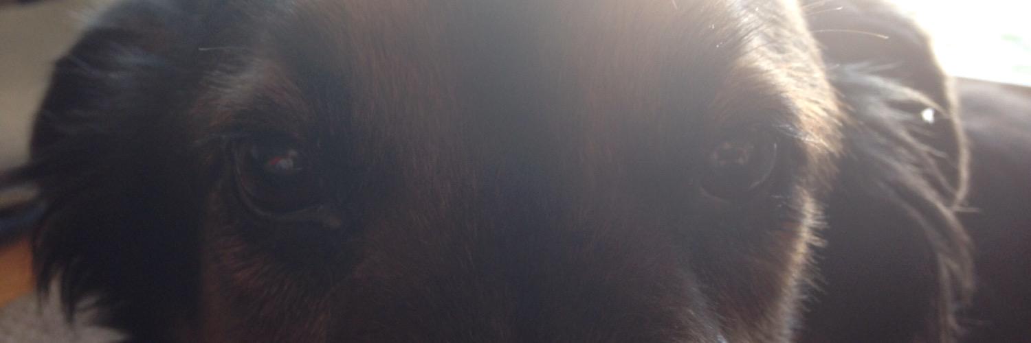 JC4Mackie's profile banner image
