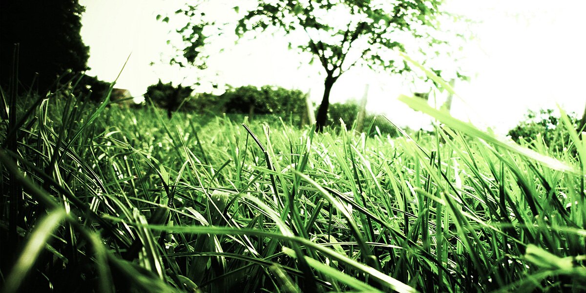 iCreative_b's profile banner image