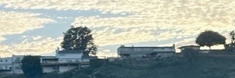 mochalatte. banner