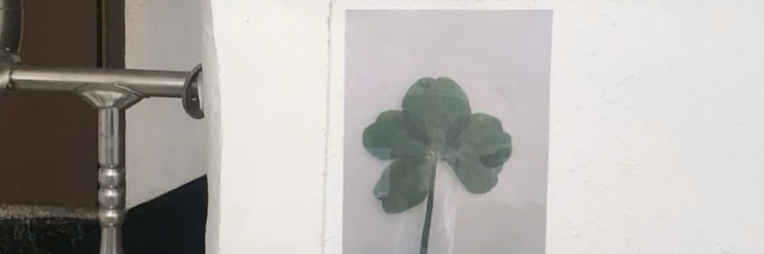 20 banner