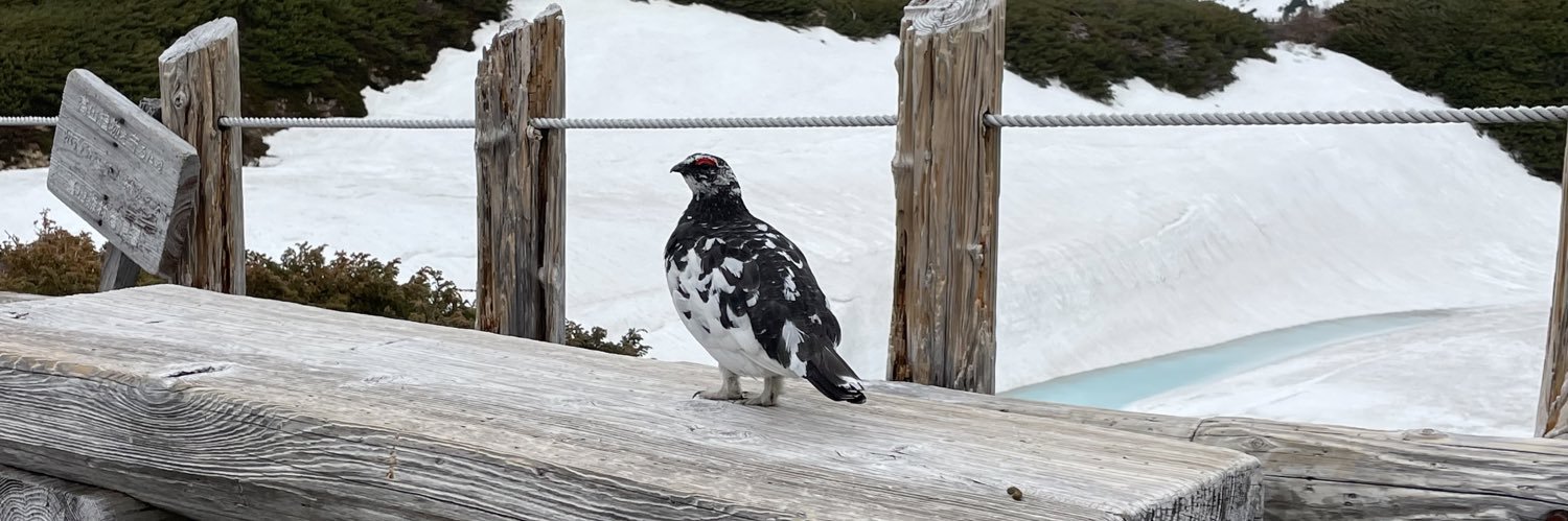 ウォーリー banner