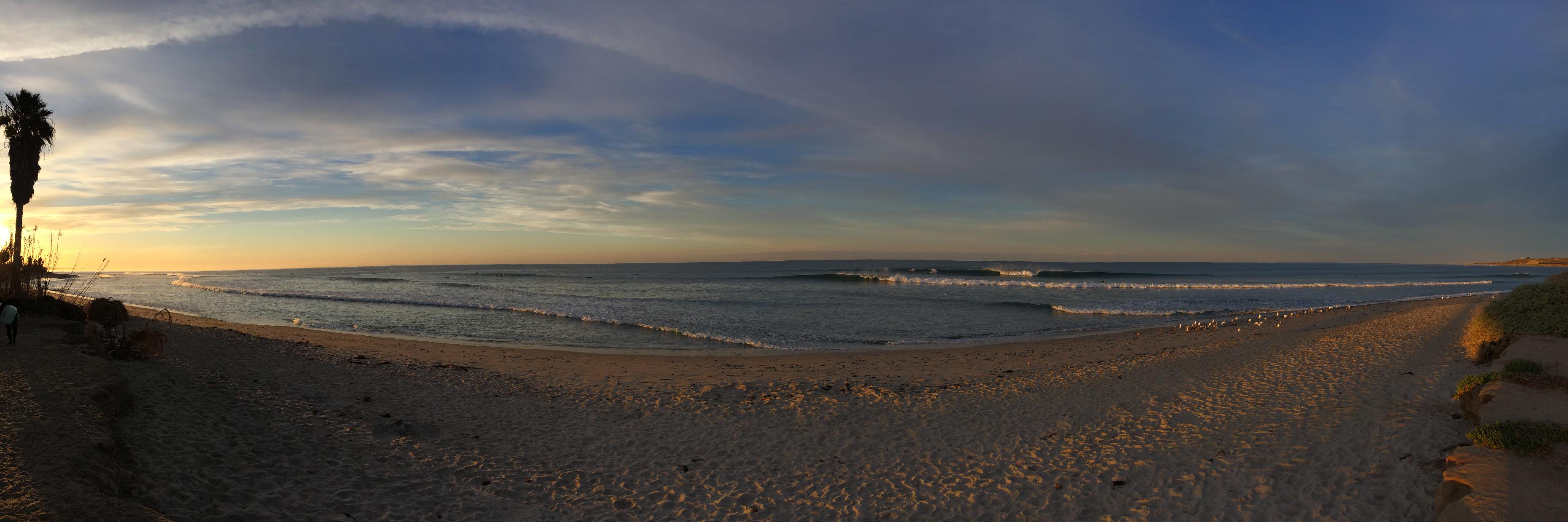 Giulio Andreini banner